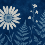 Cyanotype :.