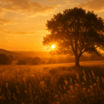 Golden Hour Photography :.