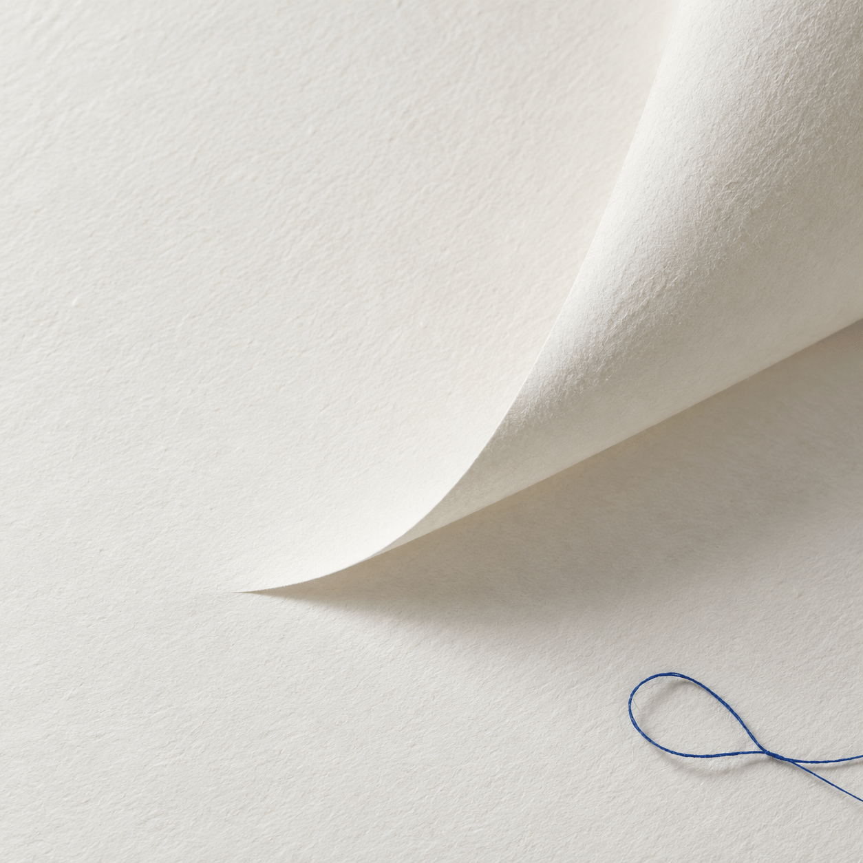 A curved fold of white textured paper with a thin cobalt thread on a white ground.